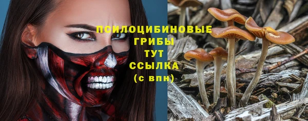 гидра Нея
