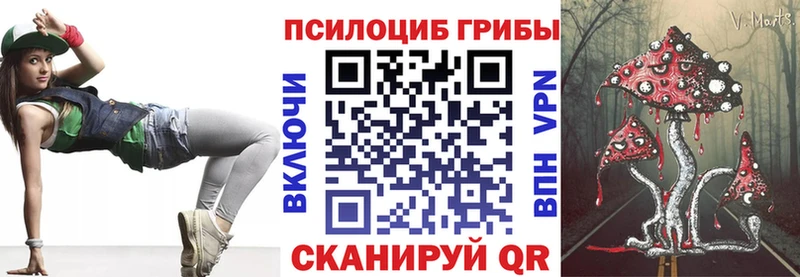Псилоцибиновые грибы Cubensis  Лесозаводск 