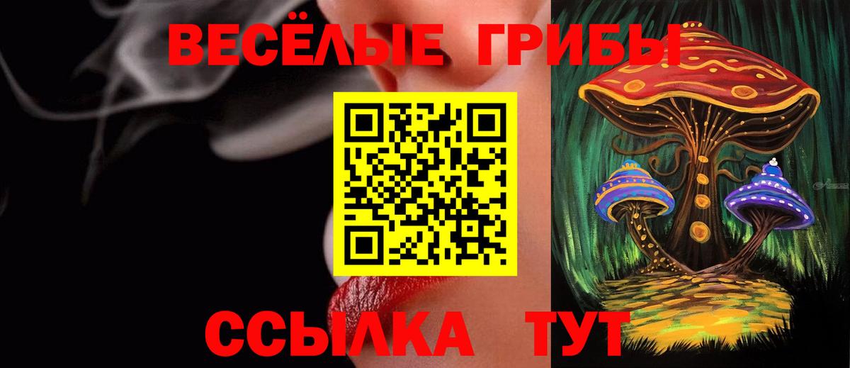 Лесозаводск  Галлюциногенные грибы Psilocybine cubensis  Вход с VPN 